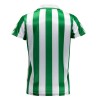 Maillot de Supporter Real Betis Special Edition 2023-24 Pour Homme